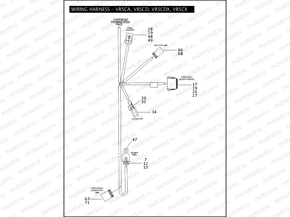 WIRING HARNESS - VRSCA, VRSCD, VRSCDX, VRSCX (CONTINUED)