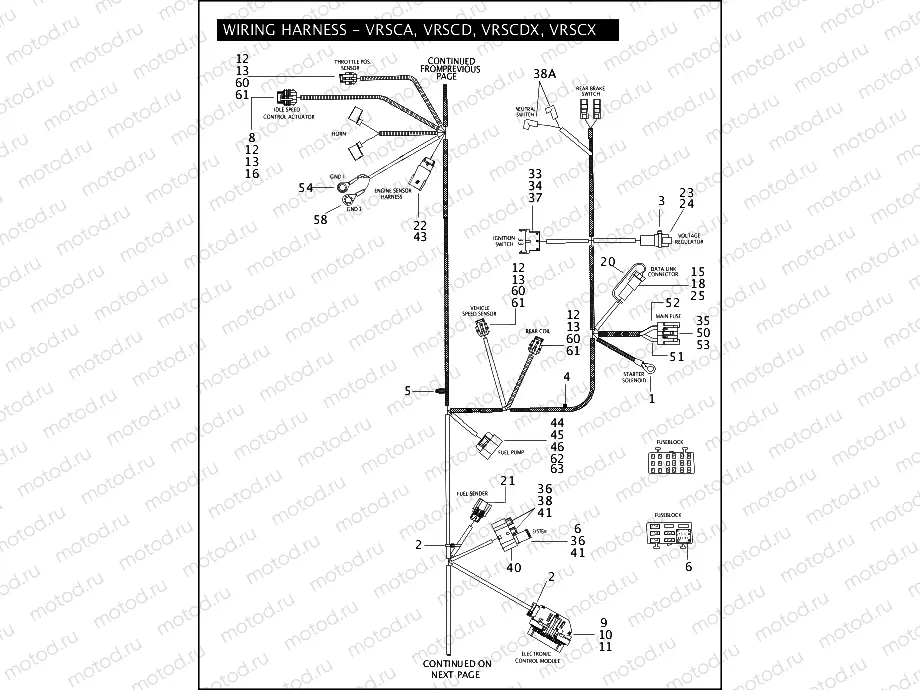WIRING HARNESS - VRSCA, VRSCD, VRSCDX, VRSCX (CONTINUED)