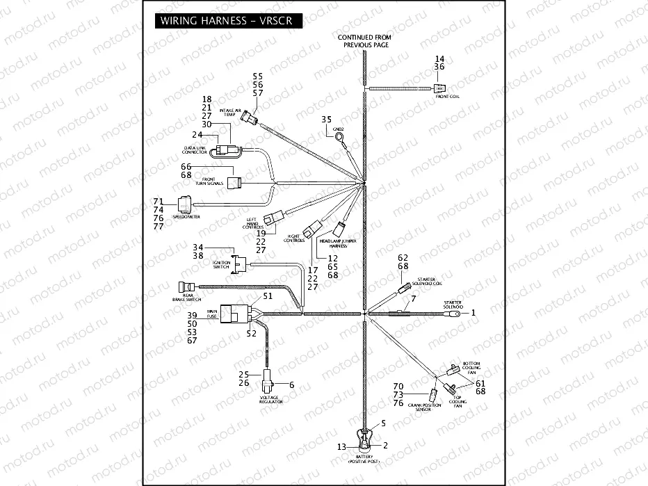 WIRING HARNESS - VRSCR (CONTINUED)