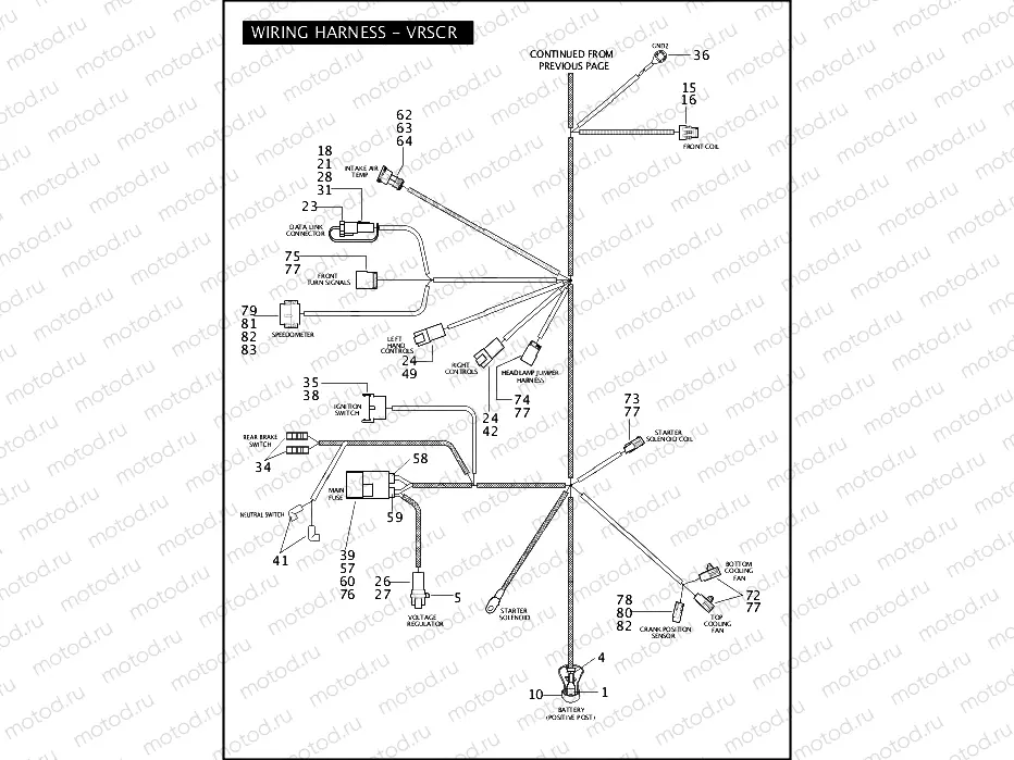 WIRING HARNESS - VRSCR (CONTINUED)