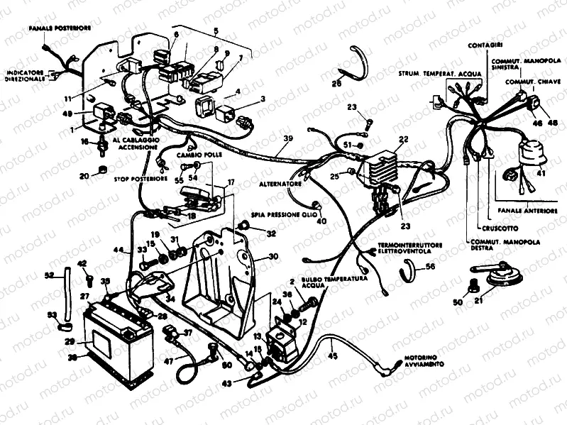 WIRING HARNESS » WIRING HARNESS
