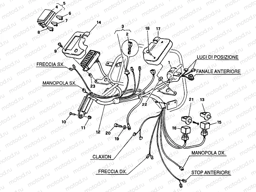 WIRING HARNESS » WIRING HARNESS
