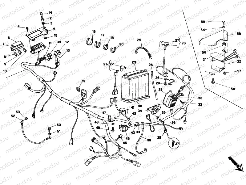 WIRING HARNESS » WIRING HARNESS