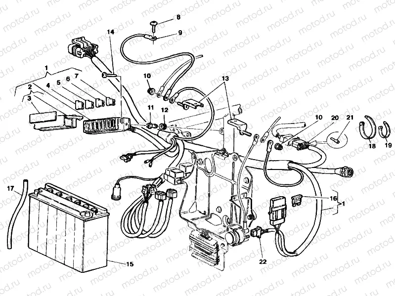 WIRING HARNESS » WIRING HARNESS