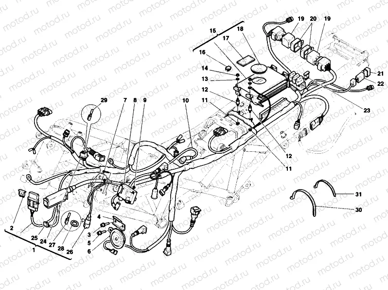WIRING HARNESS » WIRING HARNESS