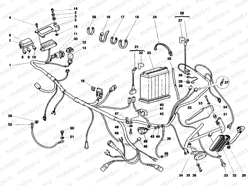 WIRING HARNESS » WIRING HARNESS