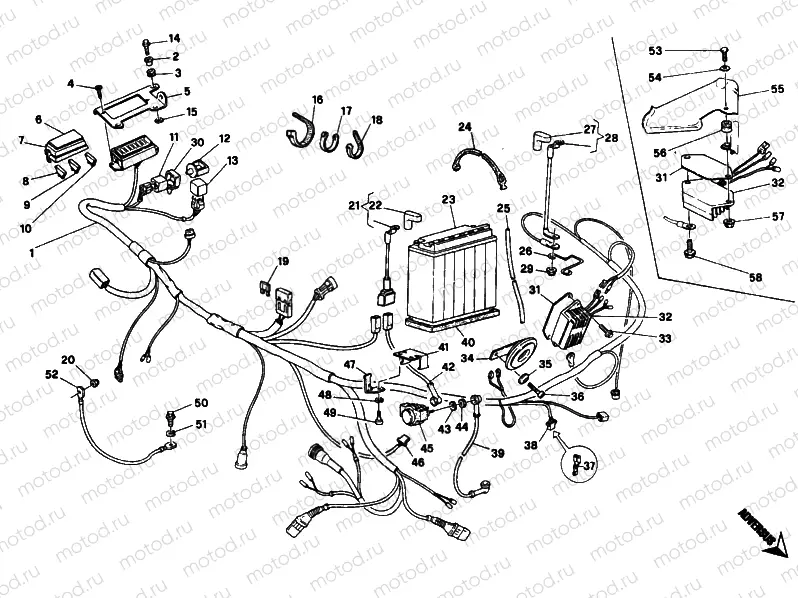 WIRING HARNESS » WIRING HARNESS