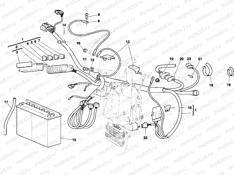 WIRING HARNESS » WIRING HARNESS