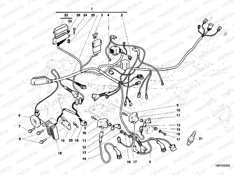 WIRING HARNESS » WIRING HARNESS