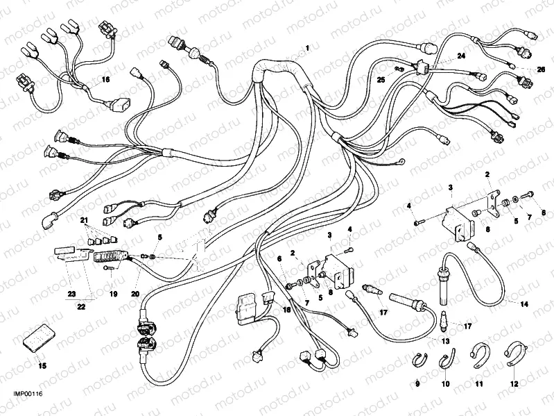 WIRING HARNESS » WIRING HARNESS