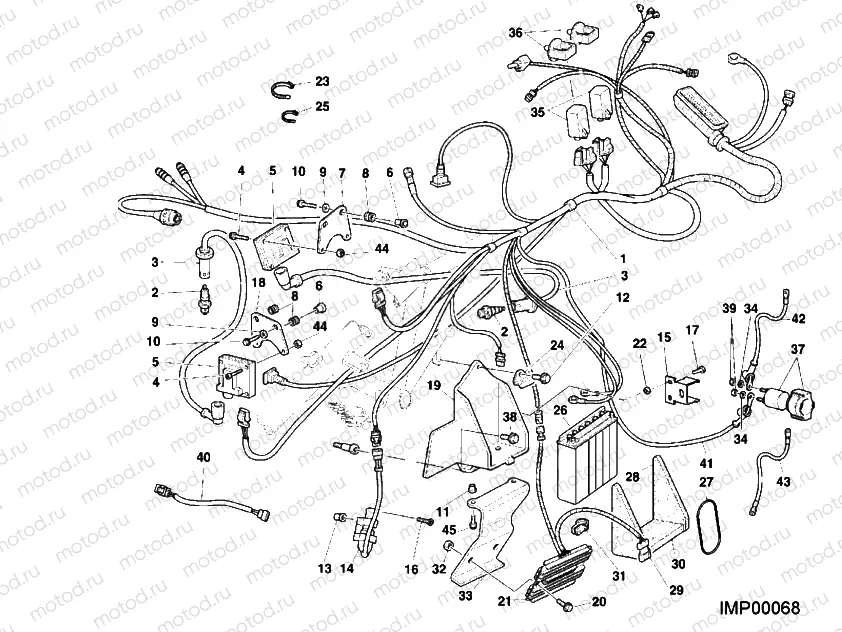 WIRING HARNESS » WIRING HARNESS