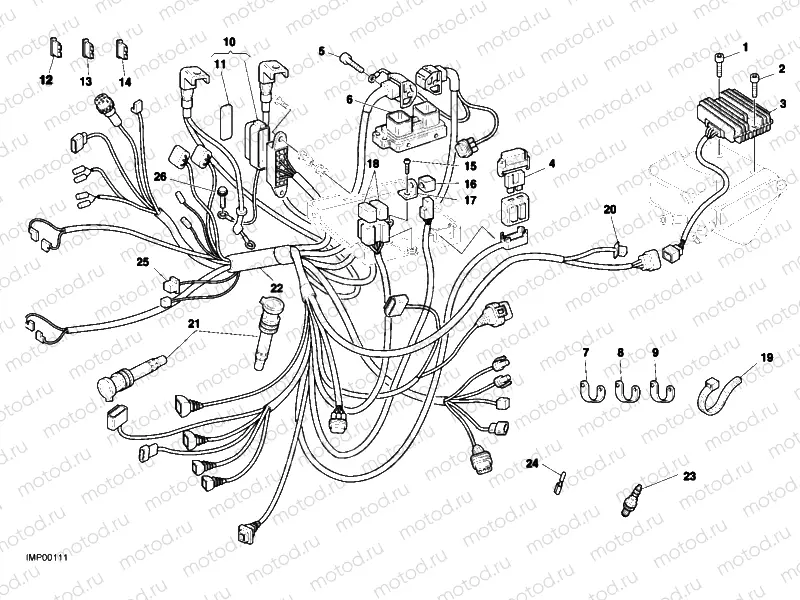 WIRING HARNESS » WIRING HARNESS