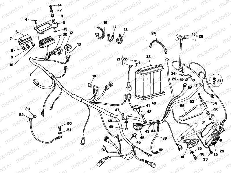 WIRING HARNESS » WIRING HARNESS