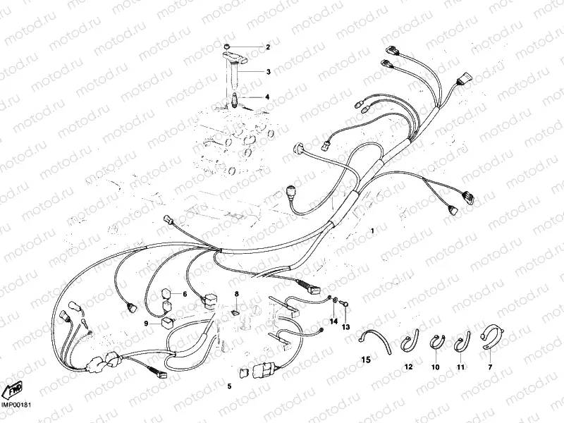 WIRING HARNESS » WIRING HARNESS