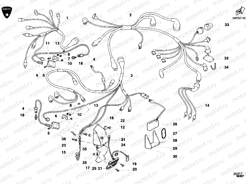 WIRING HARNESS » WIRING HARNESS