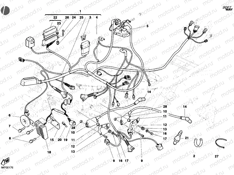 WIRING HARNESS » WIRING HARNESS