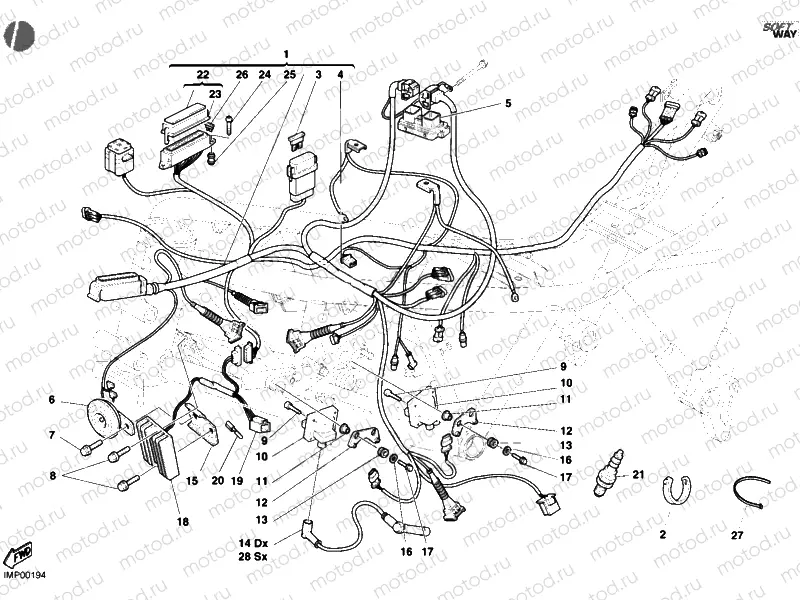 WIRING HARNESS » WIRING HARNESS