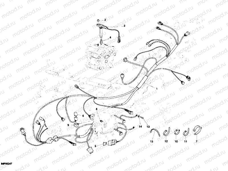 WIRING HARNESS » WIRING HARNESS