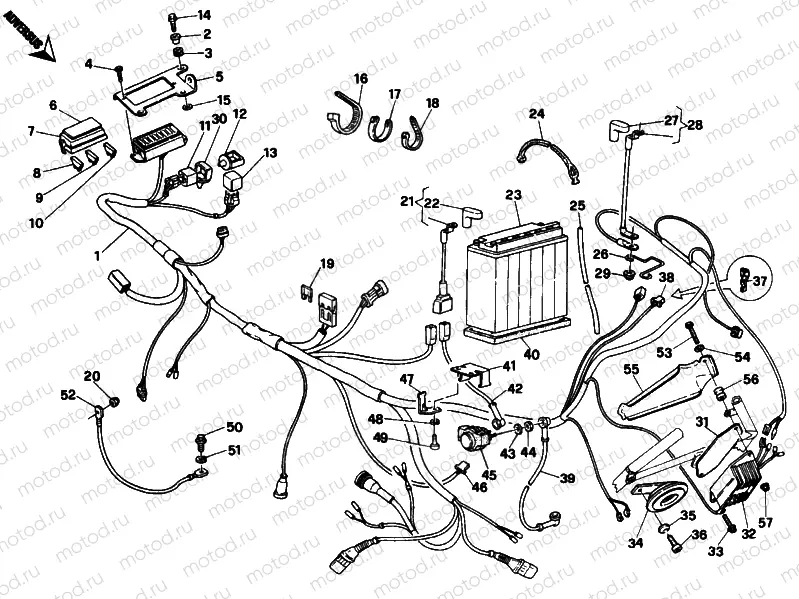 WIRING HARNESS » WIRING HARNESS