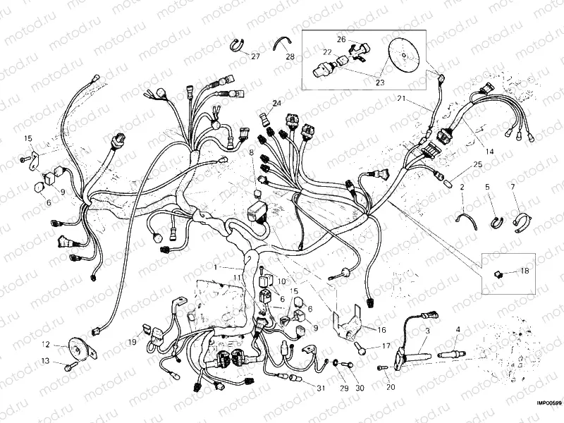 WIRING HARNESS » WIRING HARNESS