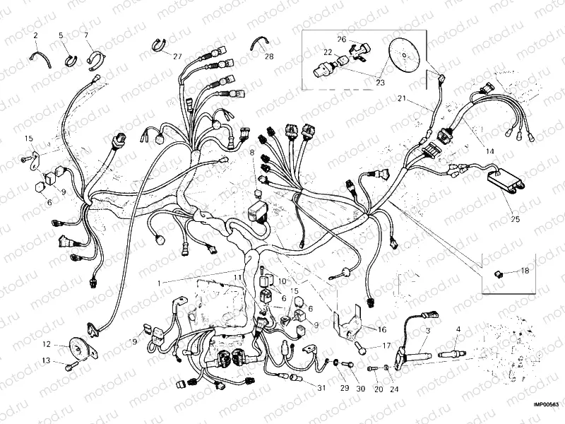 WIRING HARNESS » WIRING HARNESS