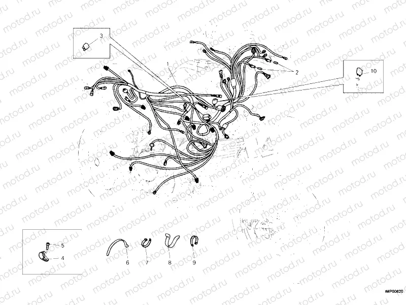 WIRING HARNESS » WIRING HARNESS
