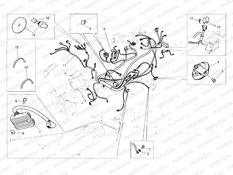 WIRING HARNESS » WIRING HARNESS