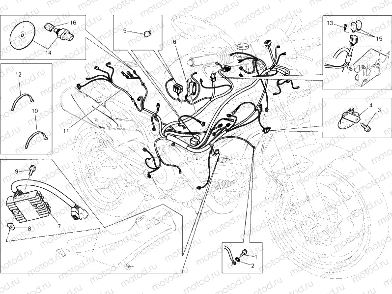 WIRING HARNESS » WIRING HARNESS