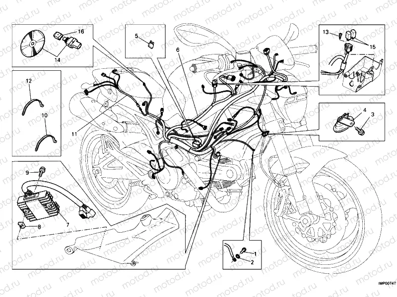 WIRING HARNESS » WIRING HARNESS