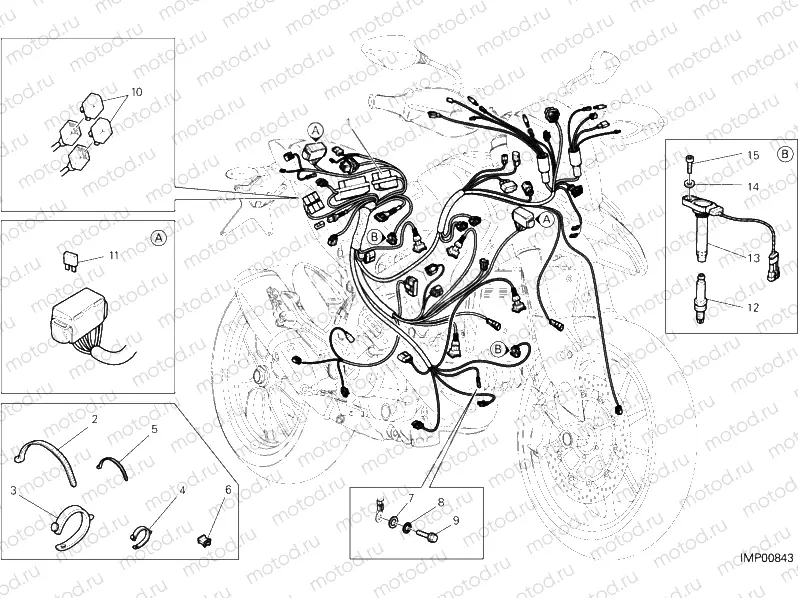 WIRING HARNESS » WIRING HARNESS