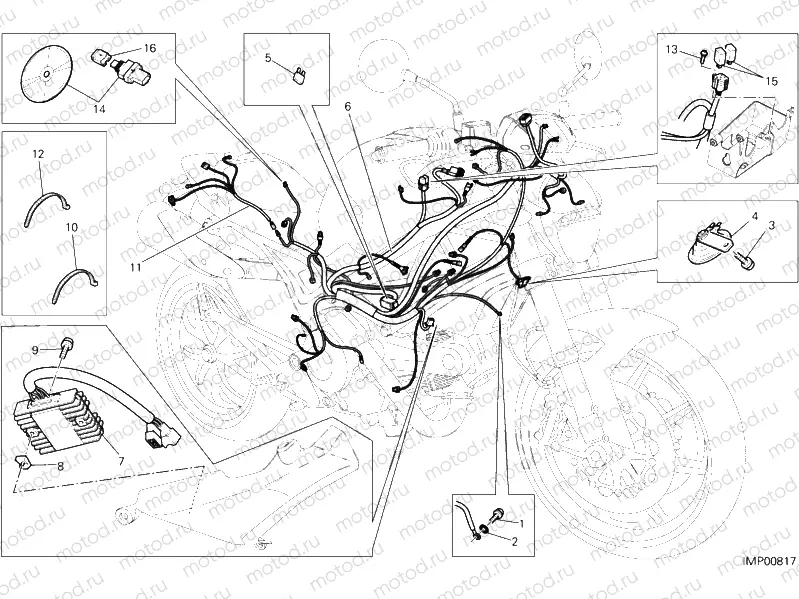 WIRING HARNESS » WIRING HARNESS
