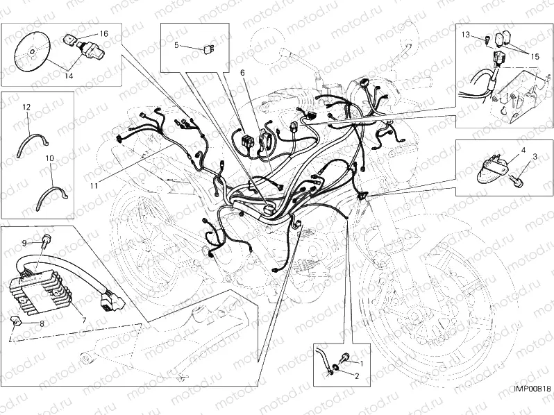 WIRING HARNESS » WIRING HARNESS