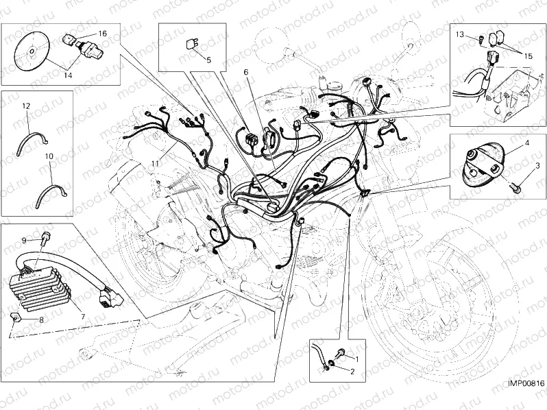WIRING HARNESS » WIRING HARNESS