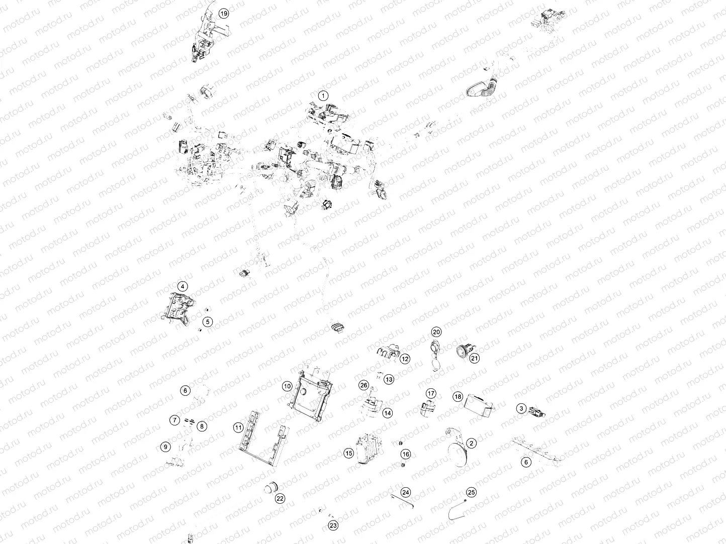 WIRING HARNESS|Frame|11