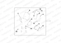 08R-80-01 WINDSHIELD