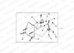 08R-80-01 WINDSHIELD (SH50 / 100)