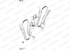 10 - CAM CHAIN