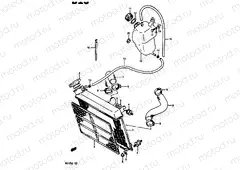10 - RADIATOR