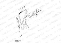 11 - CAM CHAIN