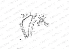 11 - CAM CHAIN