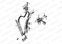 11 - CAM CHAIN