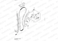 11 - CAM CHAIN