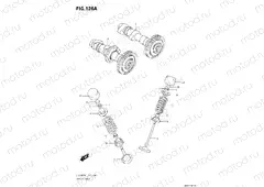 126A - CAMSHAFT / VALVE