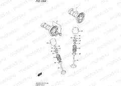 126A - CAMSHAFT/VALVE