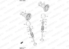 126A - CAMSHAFT/VALVE