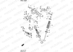 126A - CAMSHAFT/VALVE