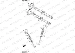 126A - CAMSHAFT/VALVE