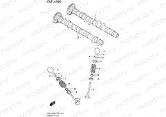 126A - CAMSHAFT/VALVE