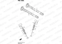 126A - CAMSHAFT/VALVE