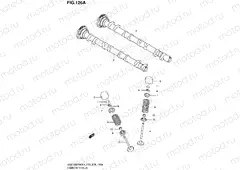 126A - CAMSHAFT/VALVE